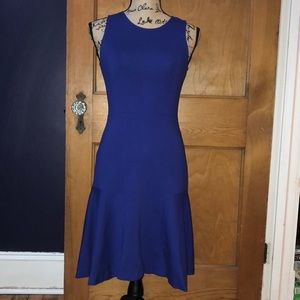 J. Crew Bodycon Dress